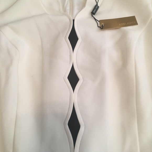 Alexis Admor Sheath- NWT/Large - Picture 5 of 7